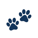 north idaho puppies print icon