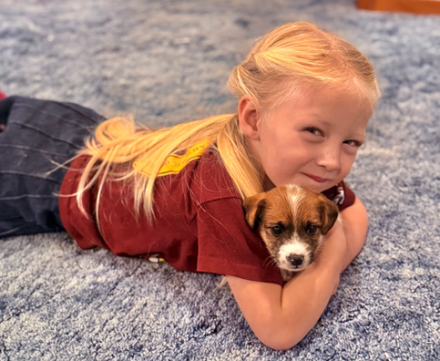 cute girl image with jack russell puppy north idaho